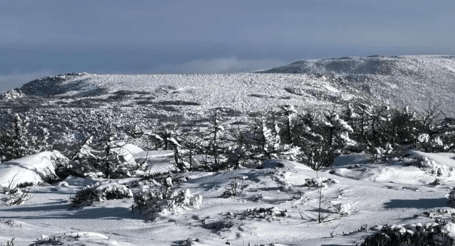 故警示户外徒步事故频发新葡京娱乐场app事(图7)