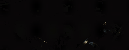 这都第几个热搜了新葡京娱乐禁不住(图11)